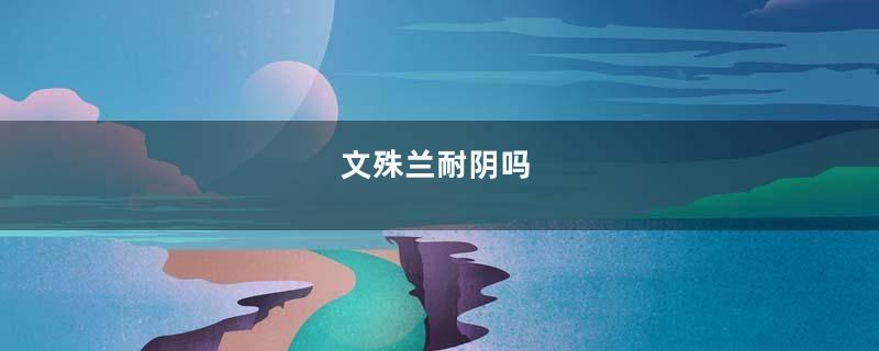 文殊兰耐阴吗