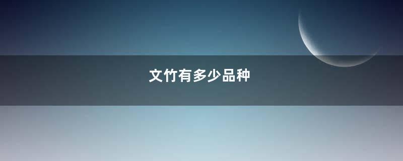 文竹有多少品种