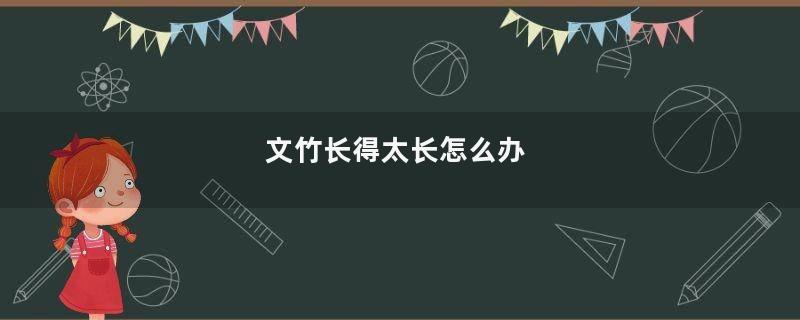 文竹长得太长怎么办