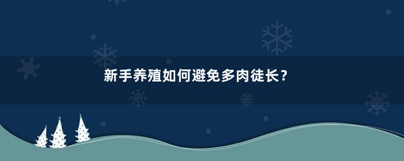 新手养殖如何避免多肉徒长？