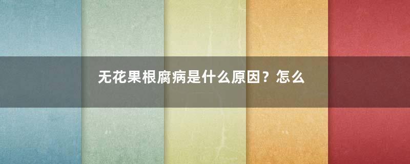 无花果根腐病是什么原因？怎么救？
