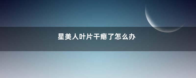 星美人叶片干瘪了怎么办