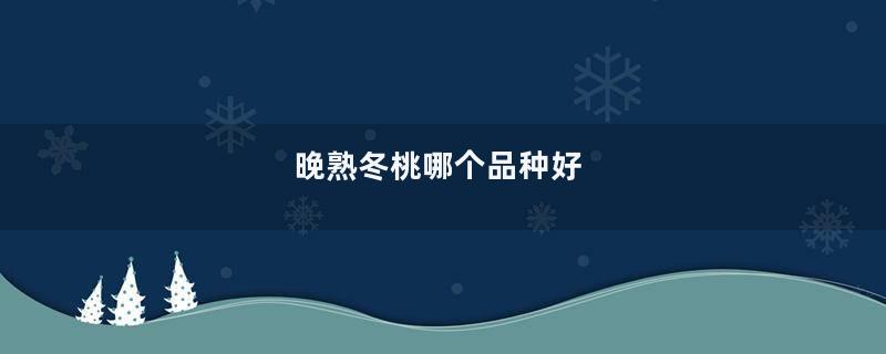 晚熟冬桃哪个品种好