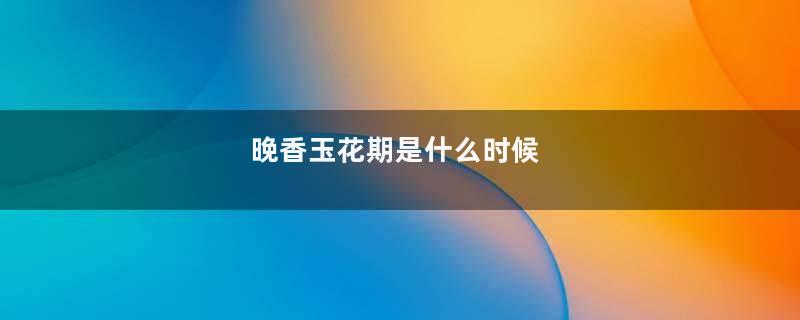 晚香玉花期是什么时候