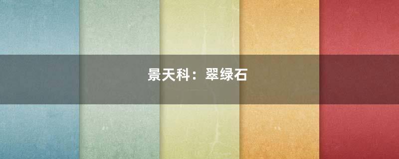 景天科：翠绿石