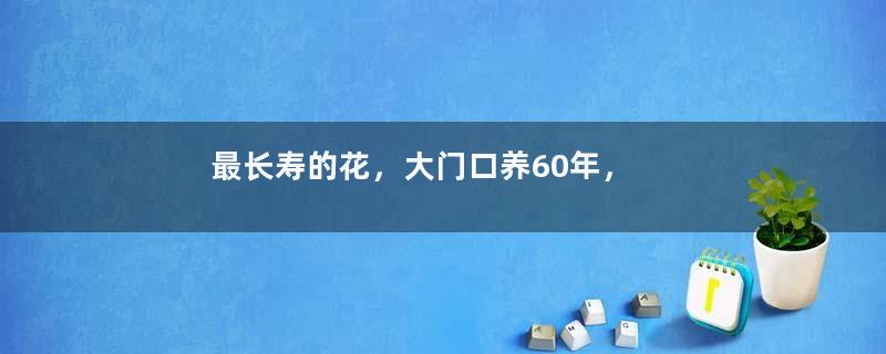 最长寿的花，大门口养60年，年年开花超霸气！