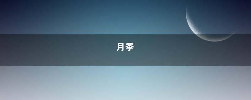 月季