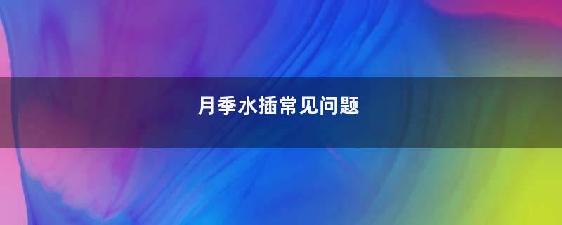 月季水插常见问题