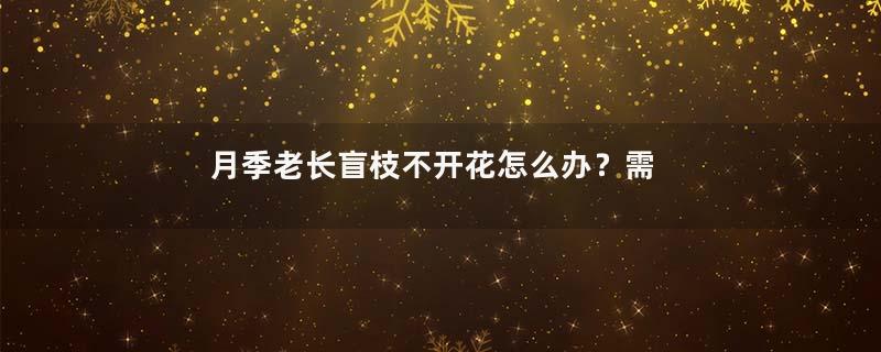 月季老长盲枝不开花怎么办？需要“修剪”，就能花开不停！