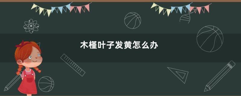 木槿叶子发黄怎么办