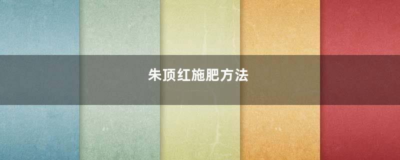 朱顶红施肥方法