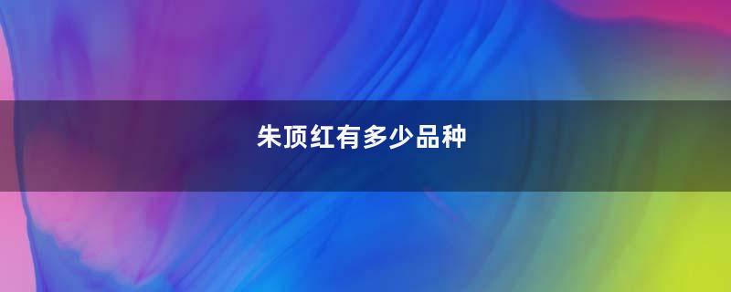 朱顶红有多少品种