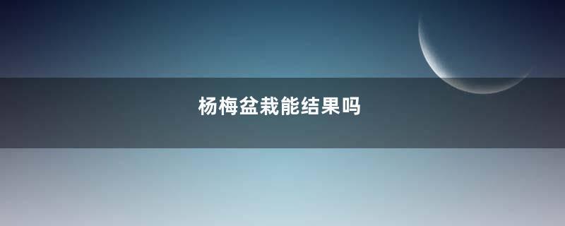 杨梅盆栽能结果吗