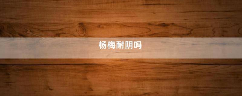 杨梅耐阴吗