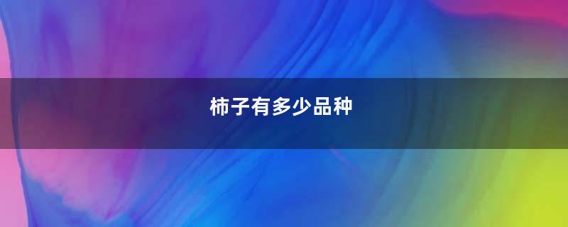 柿子有多少品种