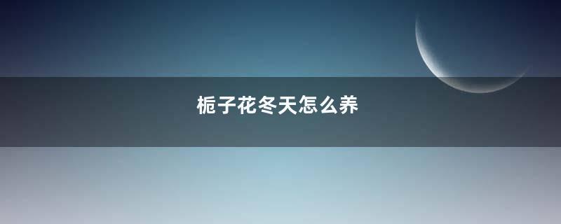 栀子花冬天怎么养
