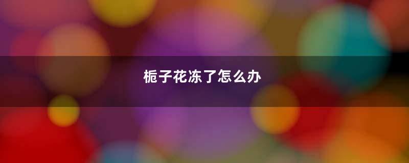栀子花冻了怎么办