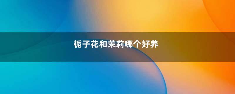 栀子花和茉莉哪个好养