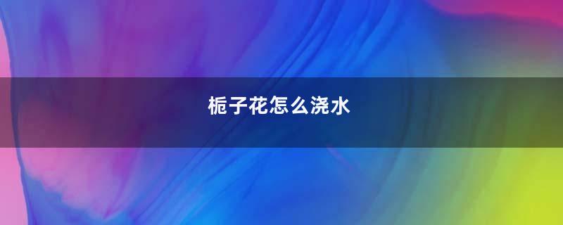 栀子花怎么浇水