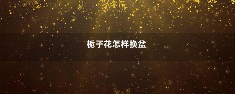 栀子花怎样换盆