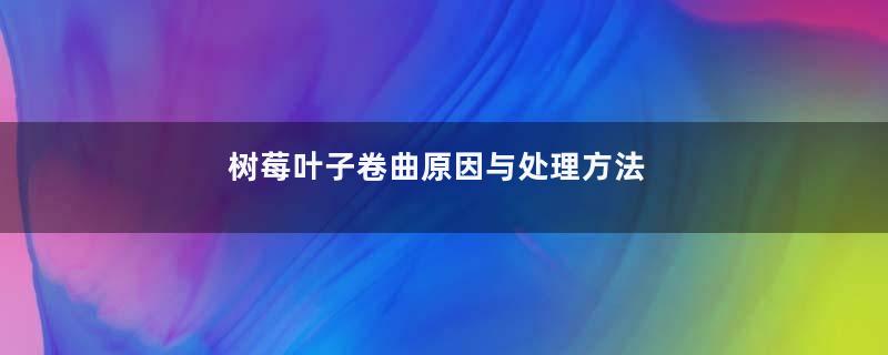 树莓叶子卷曲原因与处理方法