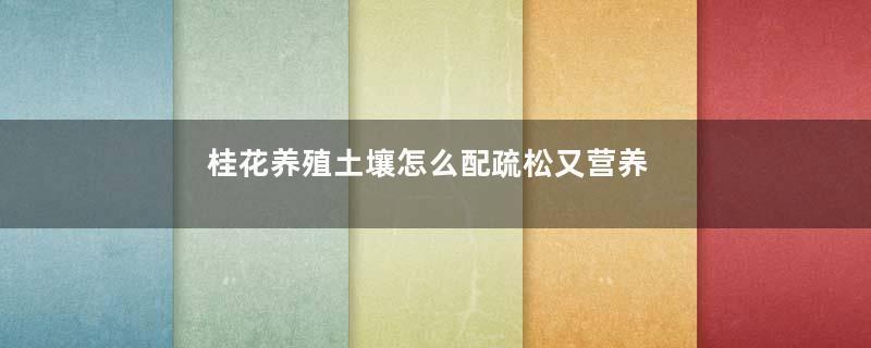 桂花养殖土壤怎么配疏松又营养