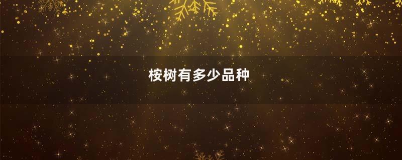 桉树有多少品种