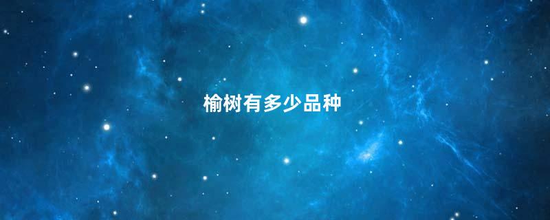 榆树有多少品种