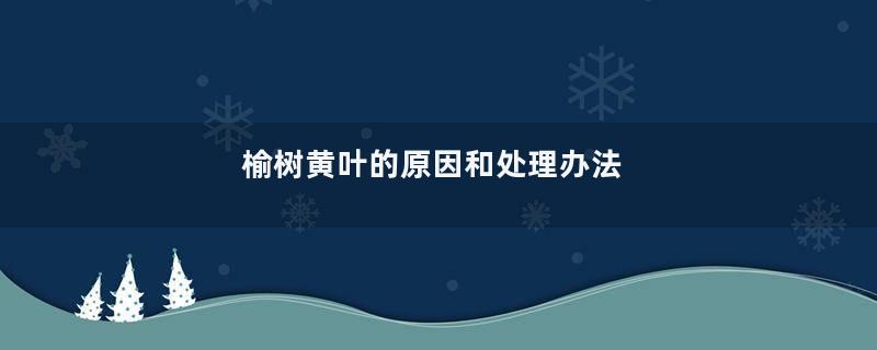 榆树黄叶的原因和处理办法