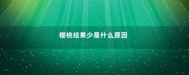 樱桃结果少是什么原因