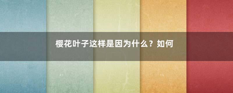 樱花叶子这样是因为什么？如何处理？