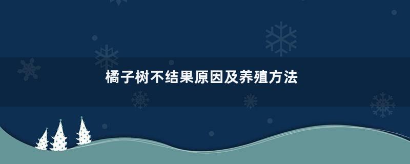 橘子树不结果原因及养殖方法