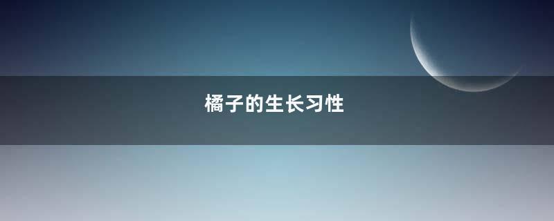 橘子的生长习性