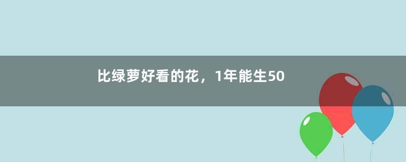 比绿萝好看的花，1年能生50盆，开花挤满小窗台！