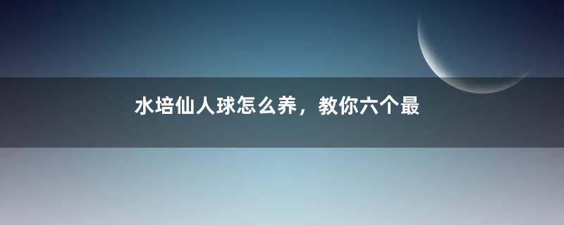 水培仙人球怎么养，教你六个最好步骤快速生根(7天)