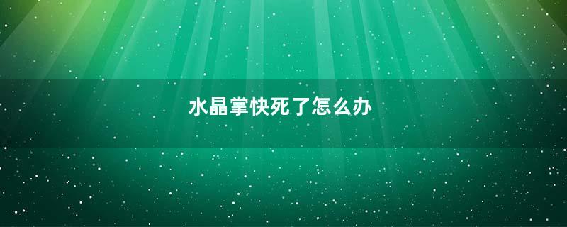 水晶掌快死了怎么办