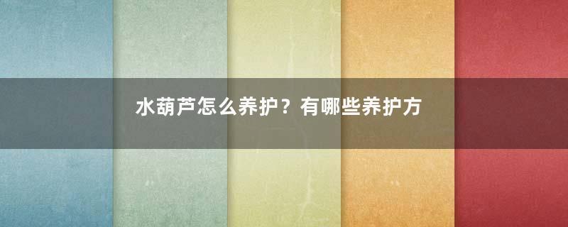 水葫芦怎么养护？有哪些养护方法？