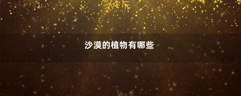 沙漠的植物有哪些