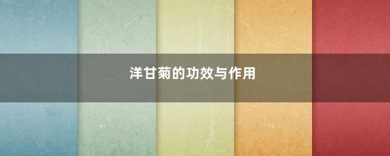洋甘菊的功效与作用