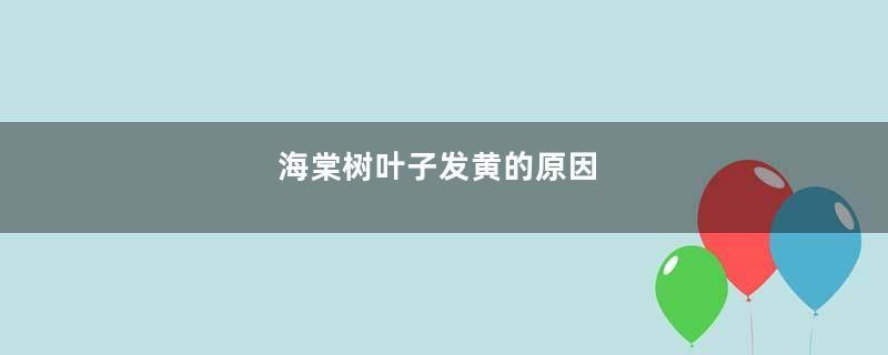 海棠树叶子发黄的原因