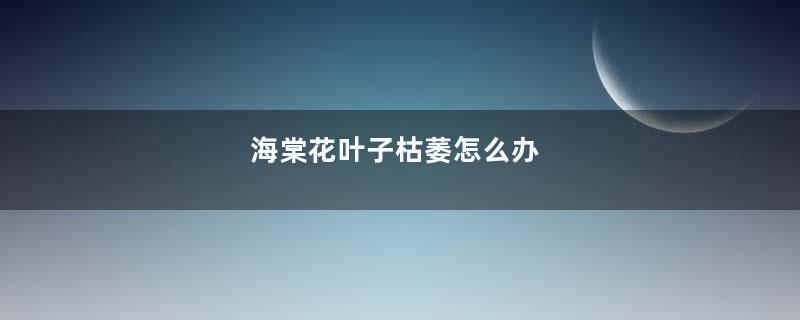 海棠花叶子枯萎怎么办