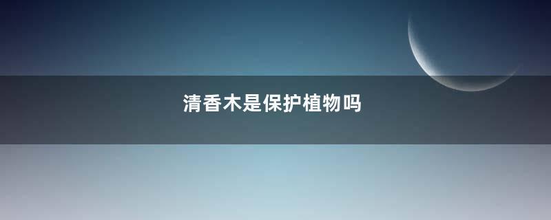 清香木是保护植物吗