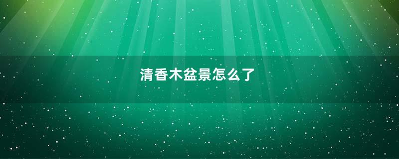 清香木盆景怎么了