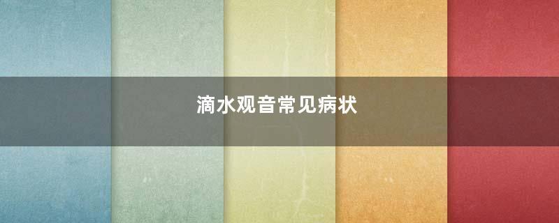 滴水观音常见病状