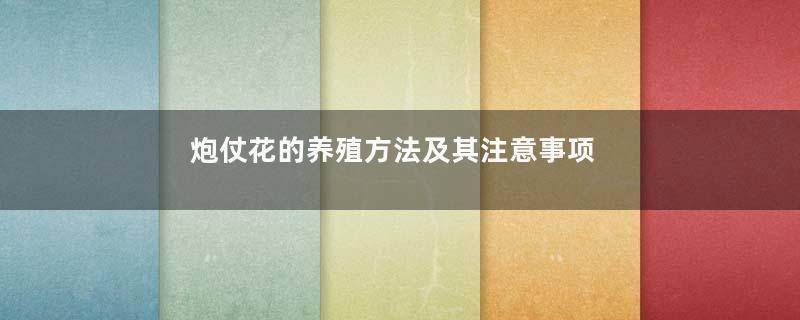 炮仗花的养殖方法及其注意事项