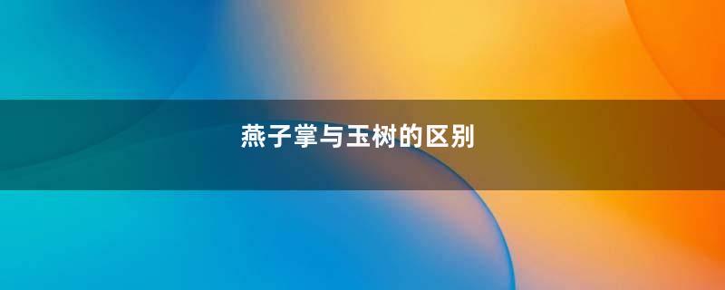 燕子掌与玉树的区别