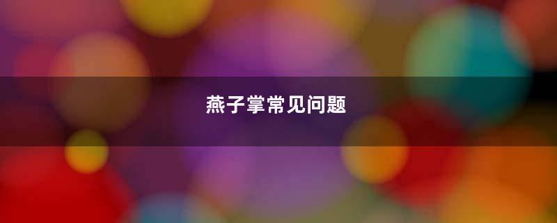 燕子掌常见问题