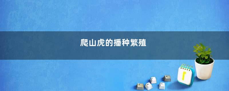 爬山虎的播种繁殖