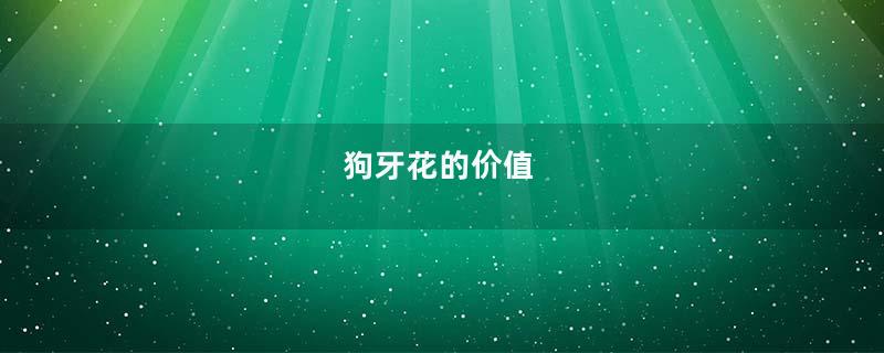 狗牙花的价值