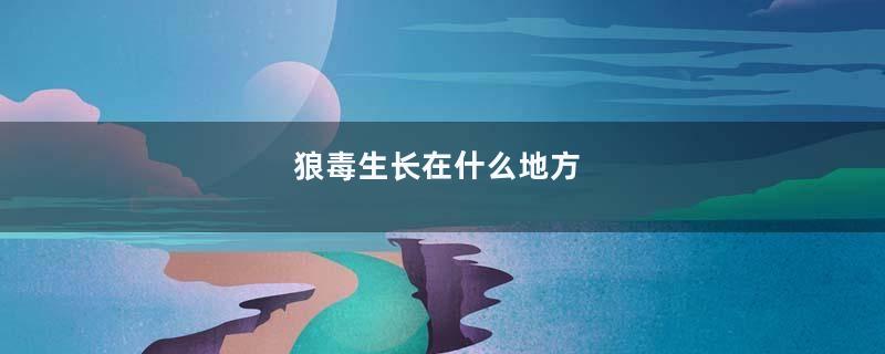 狼毒生长在什么地方
